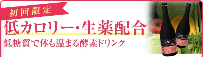 初回限定 低カロリー・生薬配合 低糖質で体も温まる酵素ドリンク