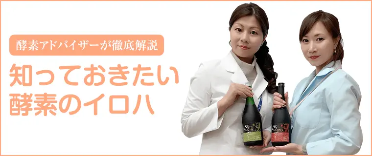 酵素アドバイザーが徹底解説 知っておきたい酵素のイロハ
