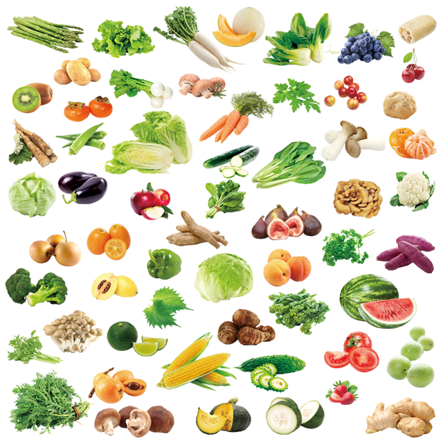 発酵酵素ドリンクきせきに使われている原材料の野菜の一部の写真