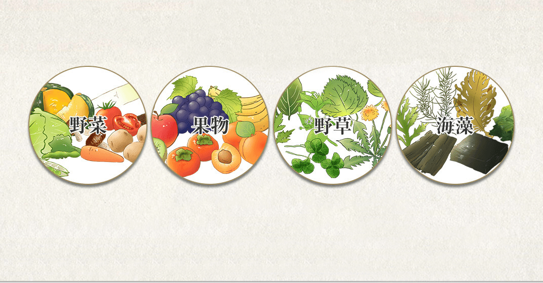 野菜、果物、野草、海藻のイメージイラスト